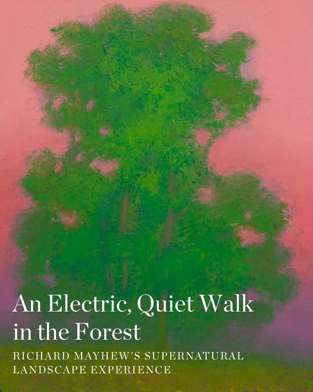 An Electric Yet Quiet Walk in the Forest