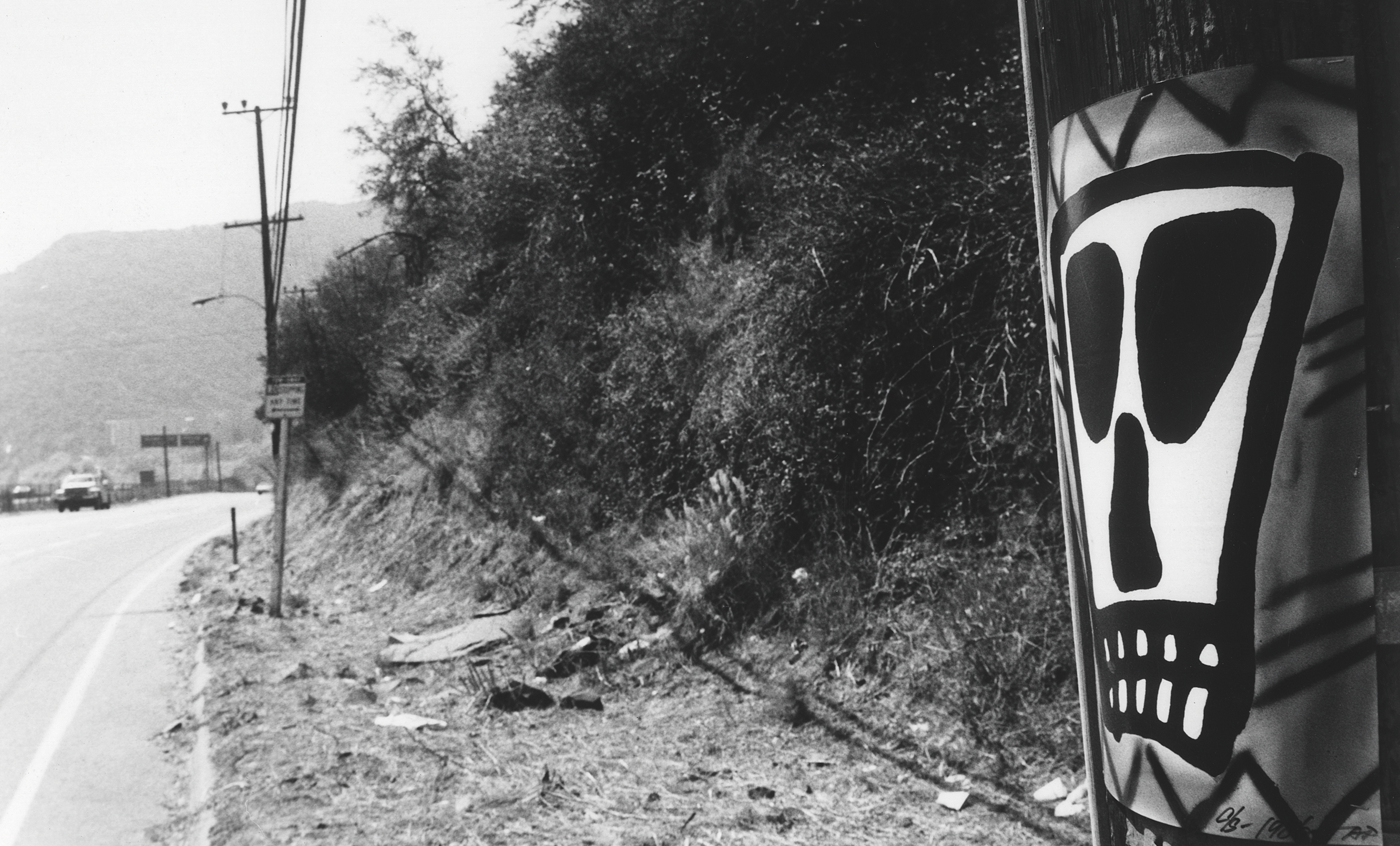 The Ongoing Nationwide Highway Beautification Effort of CR Stecyk III