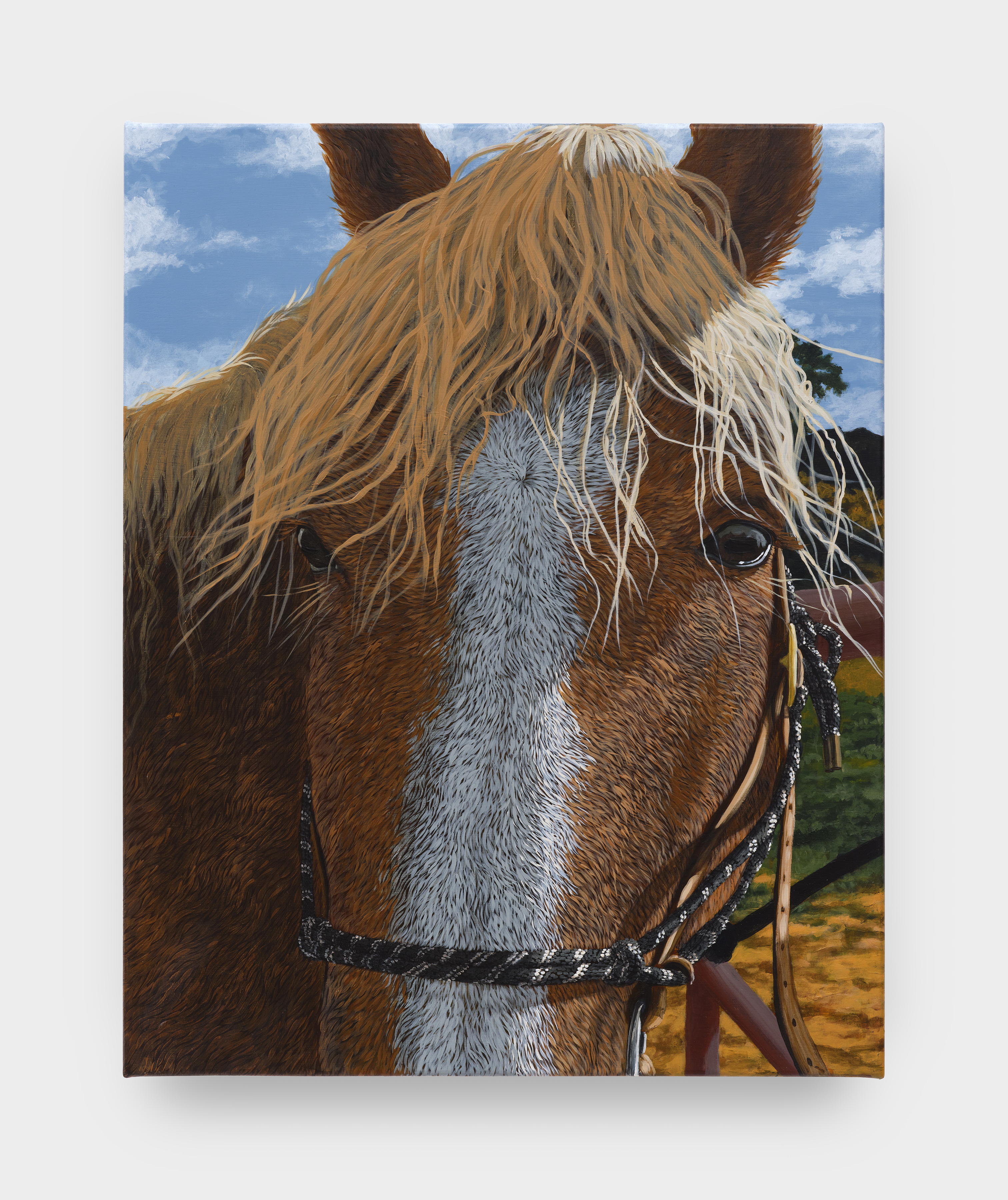 The Unibrow Interview: Sarah Miska and the American West - Portrait