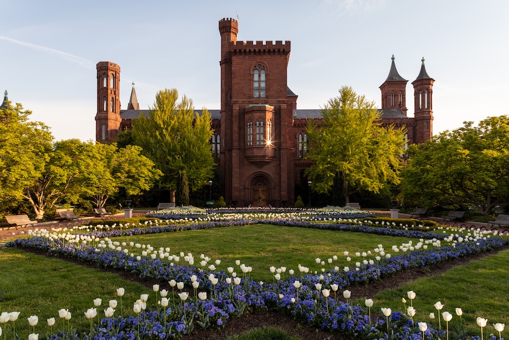 Unibrow Radio: A Ghost in the Gallery, Pt 3—The Smithsonian Castle - Portrait