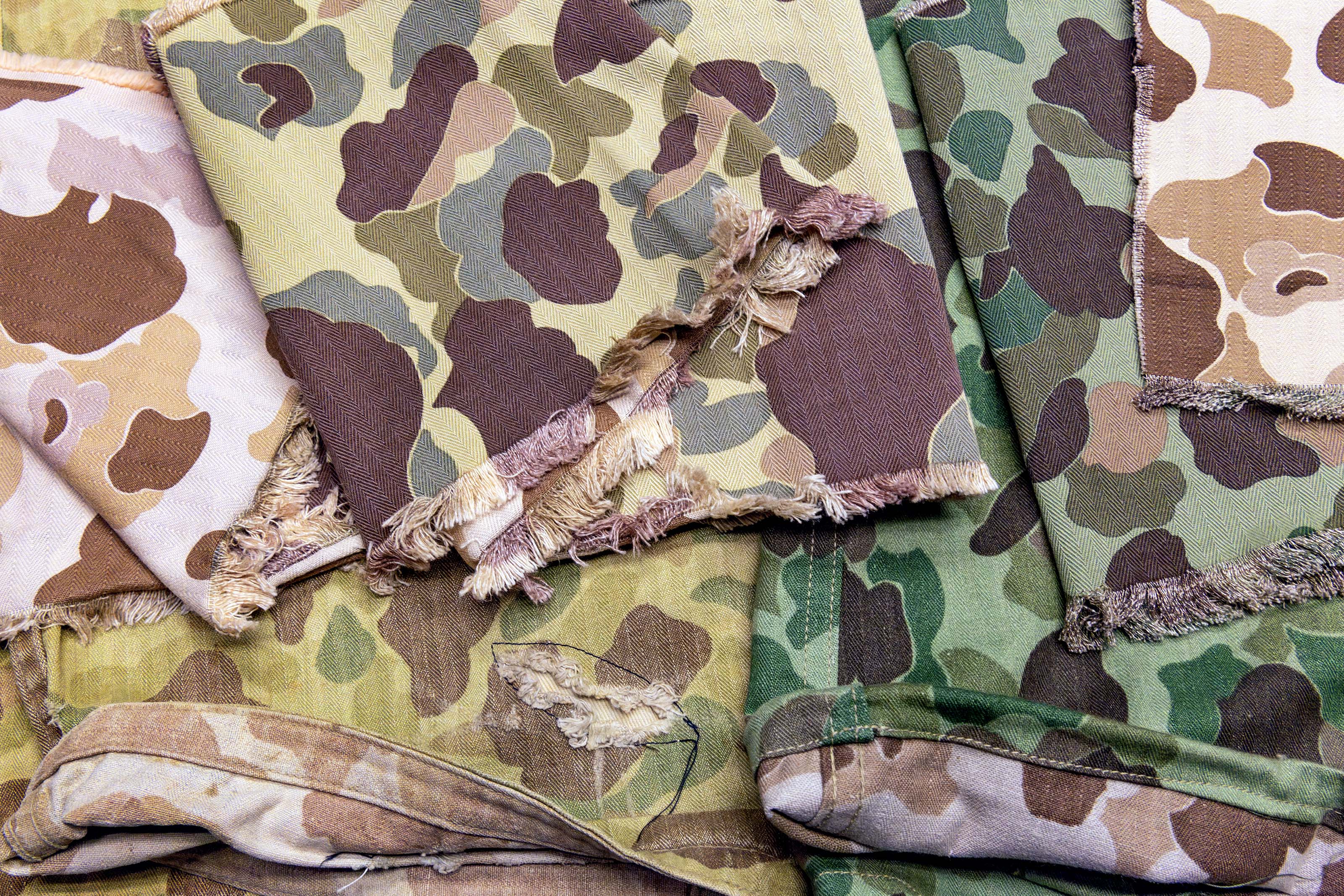 The Beauty in the Invisible